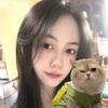 鼓捣猫宁(生骨肉猫粮升级首发活动）