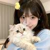 养宠物省钱小能手