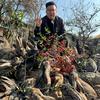 王也和他的兔子们