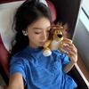 易燃（瑶月要幸福💜）