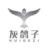 灰鸽子远程控制