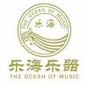 乐海乐器推荐官