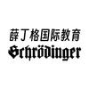 薛丁格国际教育