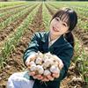 菜园年年大丰收