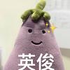 茄总