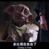 melo的篮球日常