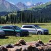 双木