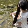 别烦狗牙、