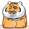 爆笑菌