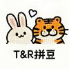 TR拼豆