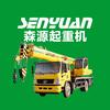 河南森源吊车