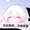 愚