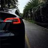 特好看Tesla