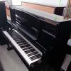 是洋洋呀🎹