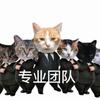 昆公招聘信息小帮手