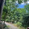 野钓小鱼