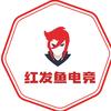 红发鱼电竞