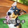 科学学堂