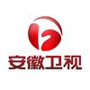 安徽卫视