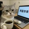 闪耀游戏