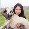 重庆导游小羊