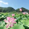 pu海浪