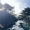 削弱峰衣