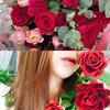 UM Flower 花