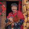 中原珍品
