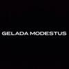 GELADAMODESTUS
