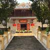 萝岗翔鸽吃喝玩乐