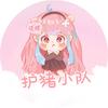 护猪小队