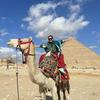 埃及地接娜娜🇪🇬