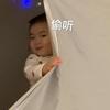 一天一条