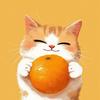 橙子猫呀