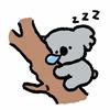 zzzz