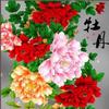 细妹