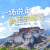 环橙信息咨询