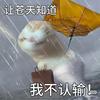 我爱吃米饭
