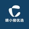 晴小猪优选