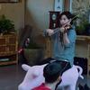 骑着猪拉小提琴