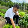 新农人文超