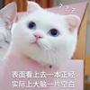 子苏碎碎念