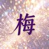 梅子姐说