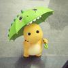 广东醉野少年
