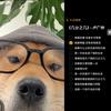 桃桃 6