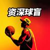 资深球盲