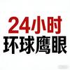 24小时环球鹰眼
