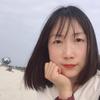 小猪快跑网络科技