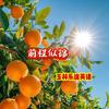 王老师的英语圈